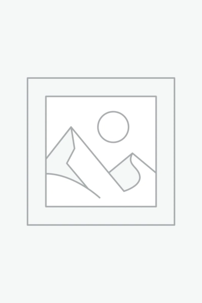 عنصر نائب Placeholder